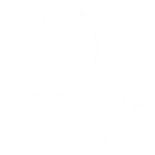 Subdomain Recon
