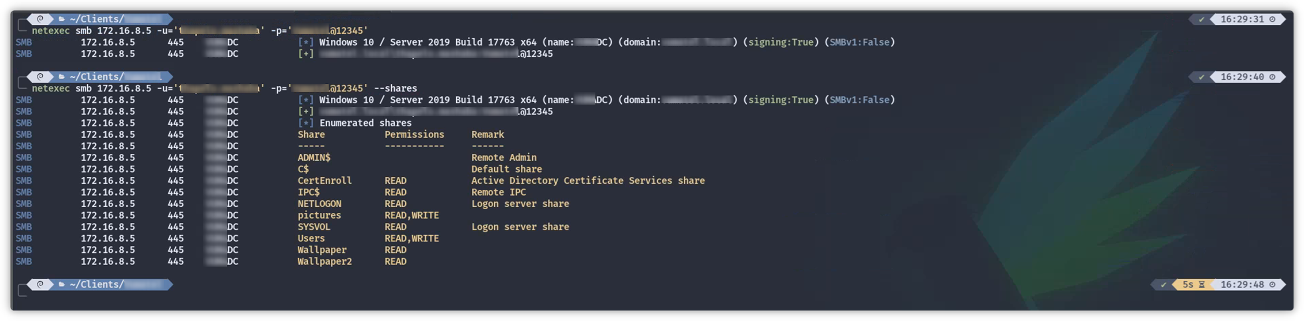 NetExec auditing internal shares for access