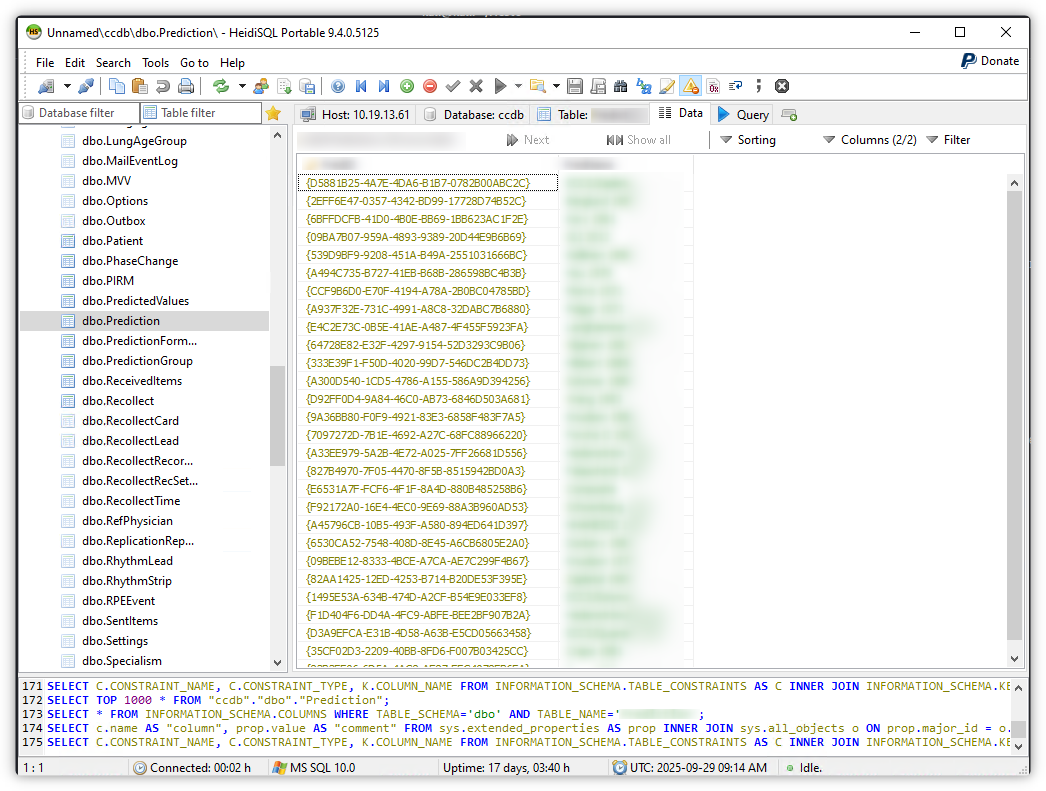 Connecting to the database with HeidiSQL using the discovered credentials